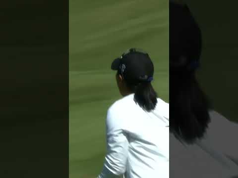 Danielle <strong>Kang</strong> mastered this moment in Arkansas with this killer chip-in 🪄 #LPGALookback
