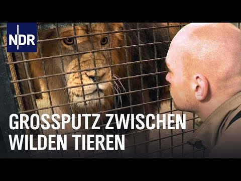 Großputz zwischen wilden Tieren | Die Nordreportage | NDR Doku