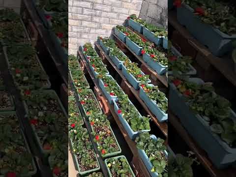 #hindisong #heenaprajapati