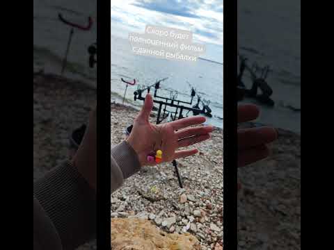 сутки были на воде, в Камском Устье. Сюкеево. #рыбалка#fishing#fish