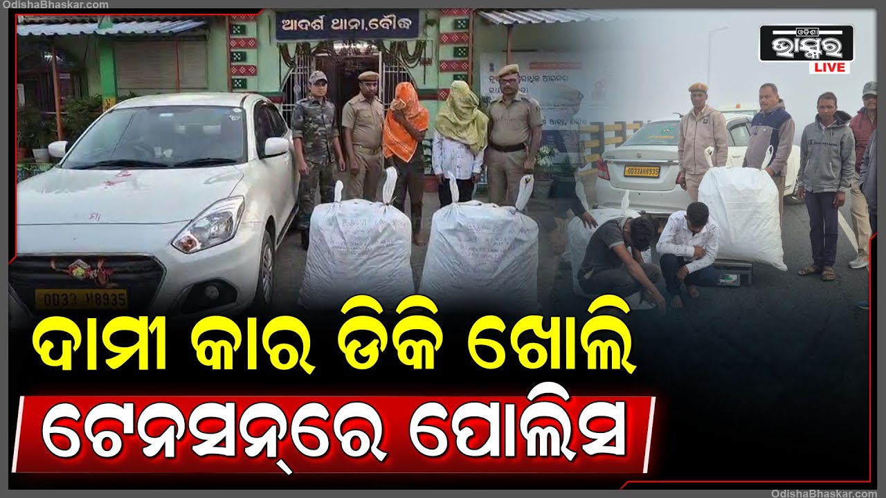 ପୁଷ୍ପା ଷ୍ଟାଇଲରେ ଉପରେ ଡାଳ ପତ୍ର ଆଉ ଭିତର ବସ୍ତାରେ ଚୋରାଚାଲାଣ ହେଉଥିଲା ୧ କୋଟିର ଗଞ୍ଜେଇ ଧରିଦେଲା ପୋଲିସ