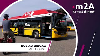 Focus sur les bus au biogaz de Mulhouse