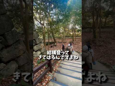 岩国城 階段 #田舎暮らし #岩国市 #castle #お城 #dance #dancer #osaka #japan #jazz #tapdance #bebop #camping #touring