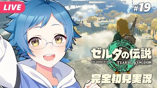 【🔵#ゼルダの伝説 ティアーズ オブ ザ キングダム #19】大妖精さまを解放するぞ！Switch 2 Editionです【夜更坂しん/Vt