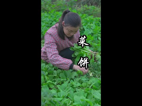 这样的菜饼90%的人都没做过，一把青菜解决一餐晚饭。#抖音创作季 #向往的生活就这样 #新农人计划2025 #乡村生活 #农村美食