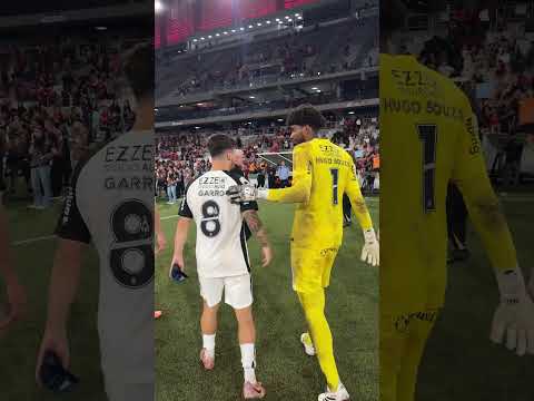 image para ilustrar o artigo