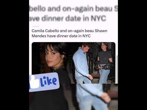 Camila Cabello and on-again beau Shawn Mendes have dinner date in NYC