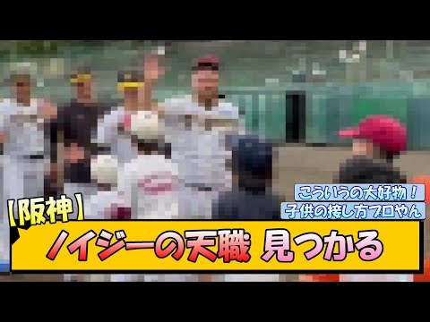 【阪神】ノイジーの天職、見つかる【なんJ/2ch/5ch/ネット 反応 まとめ/阪神タイガース/岡田監督】