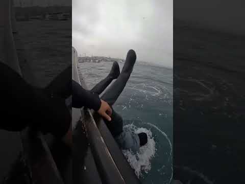 Boat vs Something Else — REAL or REEL? #merman