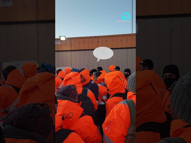 Tired Miners Start Bleating Like Sheep || ViralHog Shorts