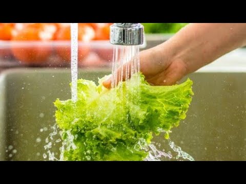 Evo kako da sprečite propadanje zelene salate i da što duže ostane sveža i hrskava