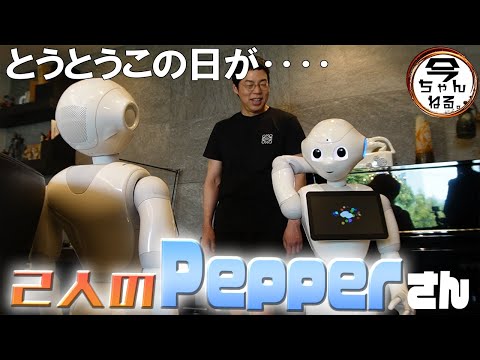 別れと出会い 2人のPepperさん