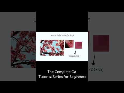 Everything is Binary | C# Complete Course