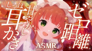 【ASMR/耳かき】しっぽ耳かきで甘やかし💤ゼロ距離安眠癒し睡眠導入【VTuber/耳かきボイス /こりす】