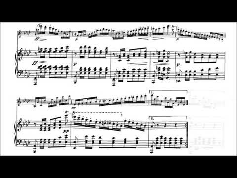 Upload mp3 to YouTube and audio cutter for Franz Schubert  Fantasy for Violin and Piano With score download from Youtube