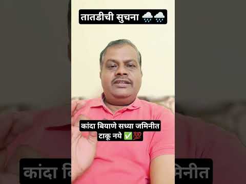 तातडीची सुचना सध्या कांदा बियाणे जमिनीत टाकू नये