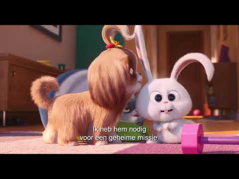 The Secret Life of Pets 2'