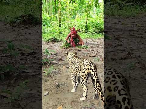 catching leopard 🐆🐆#1 #youtubeshorts​ #viral​ #trendingshorts​ #shorts_​ #animal​ #tiger​ #jungle​