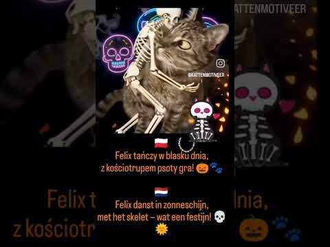 Felix danst in zonneschijn,met het skelet — wat een festijn! 💀🎃🖤#dc #felix #spooky #halloween
