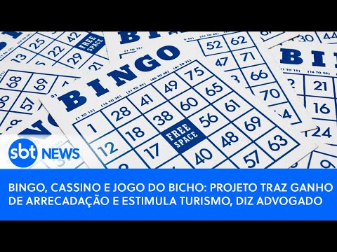 Bingo, cassino e jogo do bicho: projeto traz ganho de arrecadação e estimula turismo, diz advogado