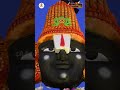 తిరుమల శ్రీవారి కల్యాణోత్సవ శుభవేళ కోటి దీపోత్సవ ప్రాంగణంలో దేవతా మూర్తుల అలంకరణ 👌🕉️🙏  - 00:58 min - News - Video