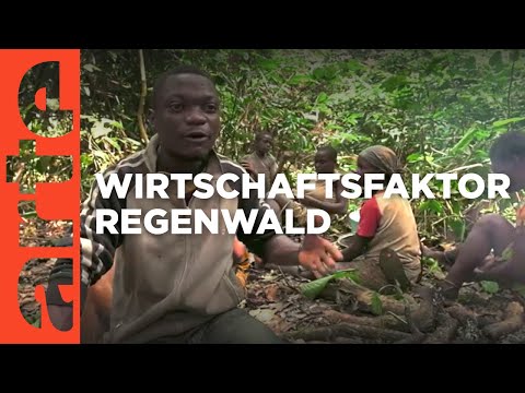 Kamerun: Der grüne Terror | ARTE Reportage Reupload (2018)