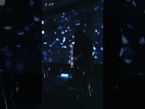 月詠み『メデ（ 月詠み Acoustic Live「海と月」）』Teaser #shorts