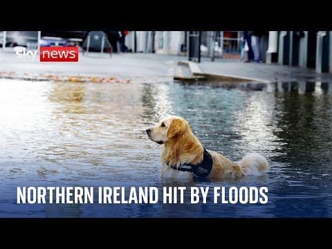 UK weather: Floods hit N Ireland as Storm Ciaran moves towards UK