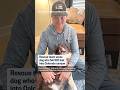 Dog rescued after 100-foot fall into canyon