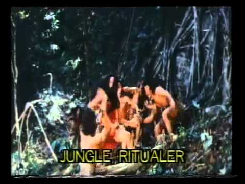 Perawan rimba'