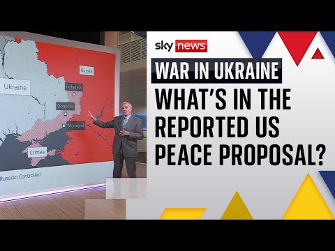 Ukraine war: Details emerge on reported US peace proposal
