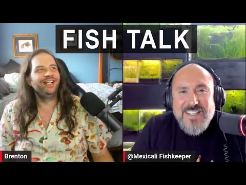 Brenton Interviewed by Mexicali Give Mexicali Fishkeeper a sub and tell him 