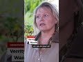 ‘Hero’ Postman Rescues Laundry From Rain  - 00:40 min - News - Video