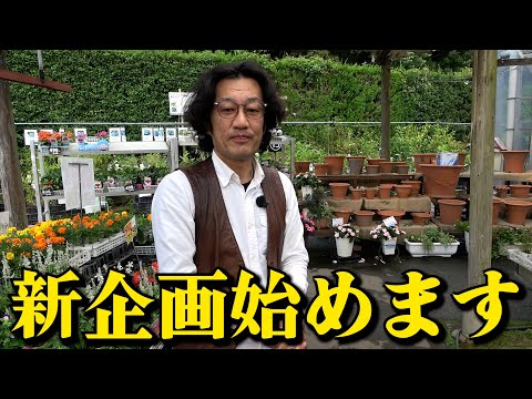 お知らせがあります【カーメン君】【園芸】【ガーデニング】