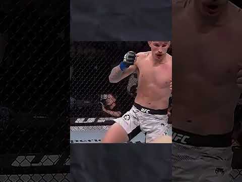 The Best UFC Headkicks of 2025 (So Far) | #shorts #sports #ufc #mma #martialarts