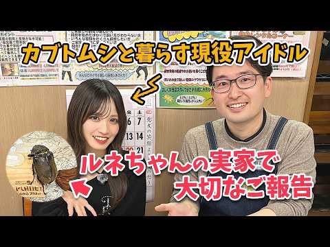 【報告】大事な家族の実家に挨拶に行く生き物偏愛アイドル、入内嶋【カブトムシ】