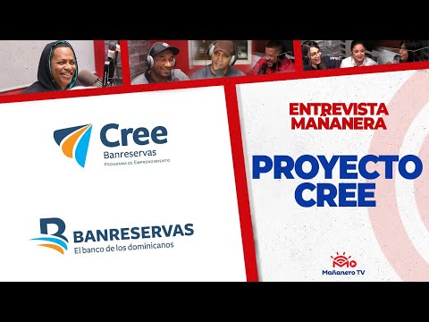 Proyecto Pre- Aceleración Cree Banreservas 2021