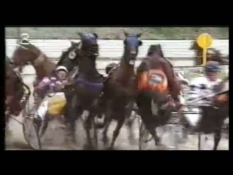 Gate Car Crashes Horse Racing Accident Freehold Raceway Gate Car Crashes Horse Racing Accident Freehold Raceway