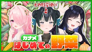 【野菜嫌い】カナメはじめての野菜 🫑【 #パレプロ生放送 】