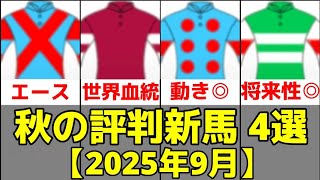 【2025年9月】新馬デビュー期待馬4選【ティタノマキア/シャンドラファール】