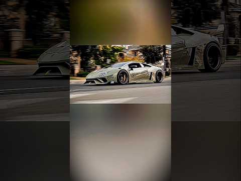 LAMBORGHINI 🔥🚀 #birdtrend