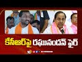 Medak BJP MP Candidate Raghunandan Rao Fires On KCR | Lok Sabha Election 10TV
