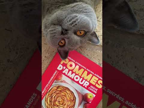 Si Scotty vous le dis …