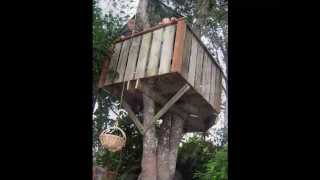 Как сделать домик на дереве без гвоздей