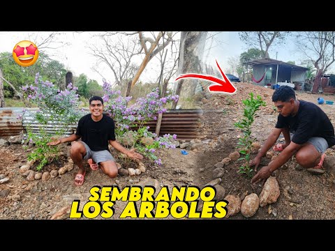 SEMBRANDO LOS ARBOLES FRUTALES EN NUESTRA CASITA DE CAMPO 🏡 ASÍQUEDARON 🤩