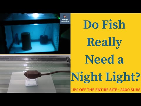 Discus Breeding Secrets_ The Power of Night Lights 🔥 Discus Breeding Secrets_ The Power of Night Lights for Fry Survival! 🔥

Description_
Ever lo