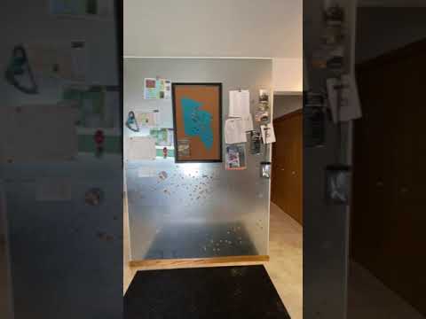 Video realizado por la propiedad