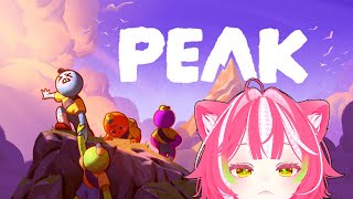 🐉PEAK💞登山部はじまりました💞ぴーく？🐉