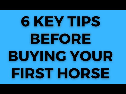6 KEY TIPS BEFORE BUYING YOUR FIRST HORSE IN PHOTO FINISH GAME