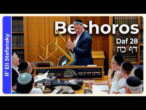 Daf Yomi Bechoros Daf 28 by R' Eli Stefansky